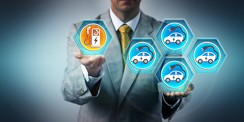 fleetmanager ant