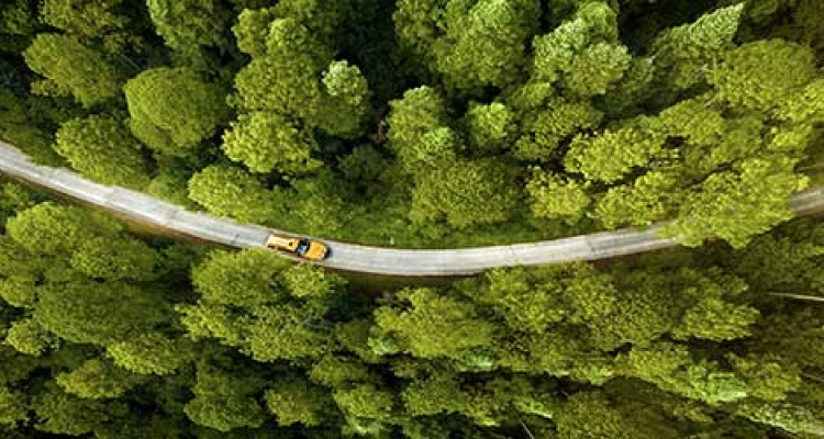 La Guida rappresenta quindi un valido supporto per tutti coloro che desiderino ottimizzare il proprio parco auto, con un occhio all’ambiente e l’altro al portafogli. Noleggio-flotte-aziendali-guida-ministeriale
