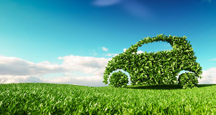 auto green sostenibilità auto green sostenibilità